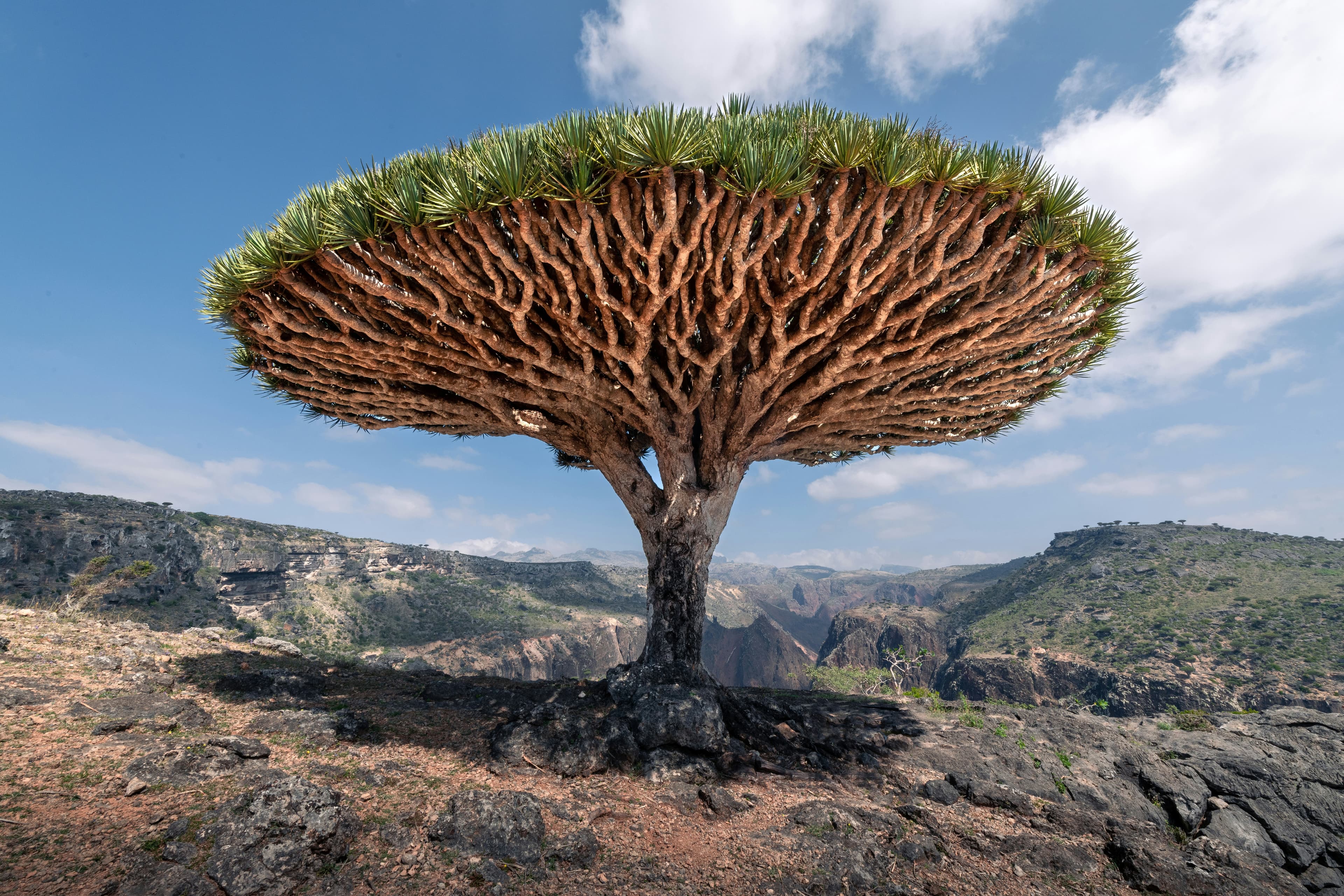 Blogs background image